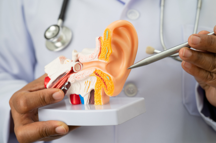 Ear Surgeries